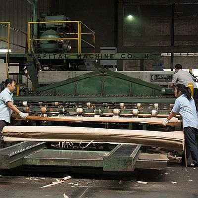 Châu Âu Gỗ Sycamore Hình Tự Nhiên Gỗ Veneer Cắt Phẳng Vương Miện Cắt Độ Dày 0.5Mm Cho Chết Và Tủ