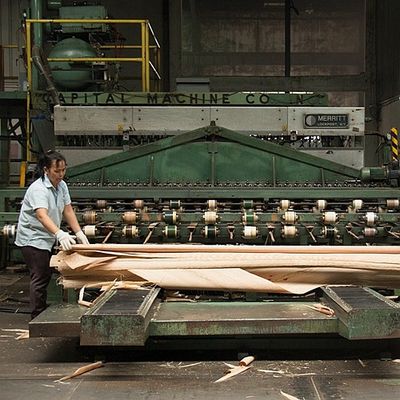 Veneer gỗ Okoume tự nhiên Dịch vụ khớp trượt đáy quần đặc biệt để trang trí khách sạn