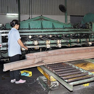 Ván ép Prima Vera có hình dạng thẳng không đều theo quý cho cửa ra vào và cửa sổ