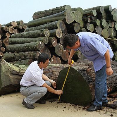 Ván gỗ gụ tự nhiên vân gỗ thẳng cho đồ nội thất và nhạc cụ