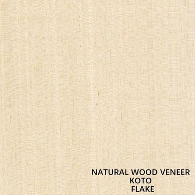 Veneer gỗ Koto tự nhiên quý cắt hạt thẳng đặc biệt Khả năng cung cấp tốt cho quy trình nhuộm