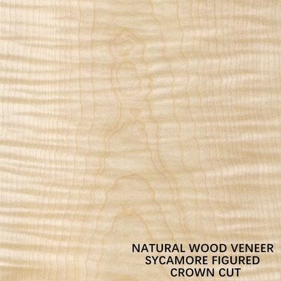 Châu Âu Gỗ Sycamore Hình Tự Nhiên Gỗ Veneer Cắt Phẳng Vương Miện Cắt Độ Dày 0.5Mm Cho Chết Và Tủ
