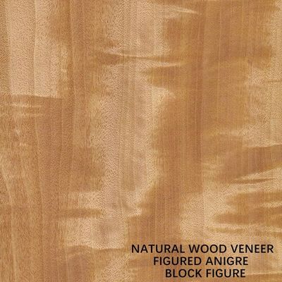 Anegre Châu Phi Veneer gỗ tự nhiên Khối Hình hạt Màu đồng nhất 0,5mm