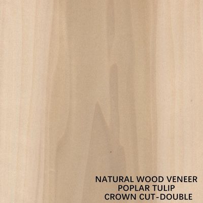 Double Color American Natural Poplar Wood Veneer Flat Cut Crown cho ván ép lạ mắt
