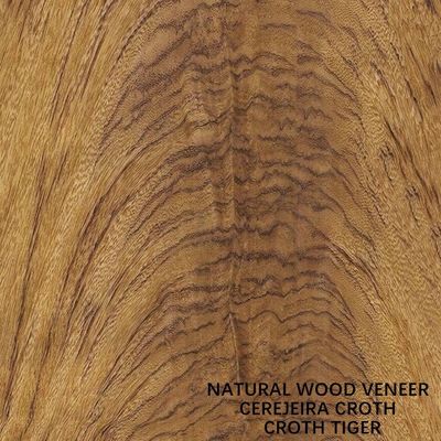 America Natural Cherry Crotch Veneer Special Tiger Grain để trang trí khách sạn