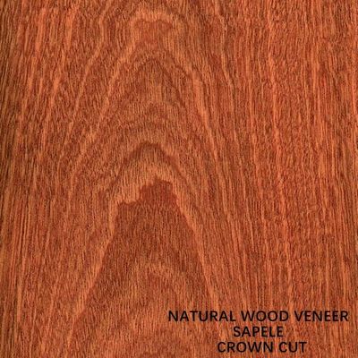 Ván và Cửa Châu Phi Veneer Gỗ Sapele Tự nhiên Flat Cut Crown Grain Lớp AAA