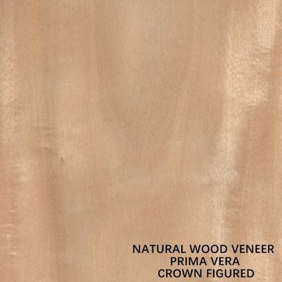 OEM Natural Primavera Gỗ Veneer Flat Cut Crown Cut cho tấm và đồ nội thất 0,5mm