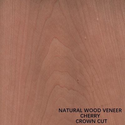 Flat Cut Crown Cắt veneer gỗ anh đào tự nhiên 0,15-0,5mm cho mặt bảng và đồ nội thất