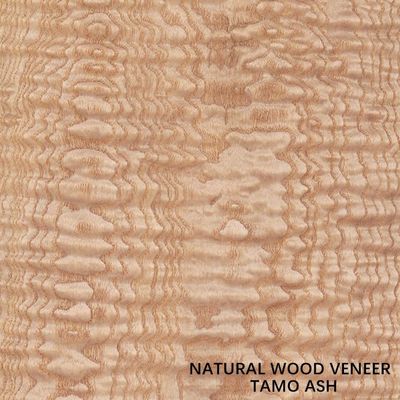 Veneer Tamo Ash tự nhiên dày 0,5mm cho nội thất ô tô và nhạc cụ