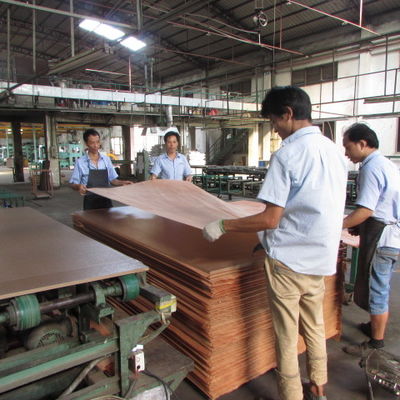 Fancy Hickory Bicolor Crown Grain Dựa MDF / Tấm ván dăm Tấm 2440x1220mm
