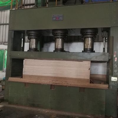 Fancy Bicolor Tulip dựa trên ván ép MDF / ván dăm / ván dăm cho bảng điều khiển nội thất