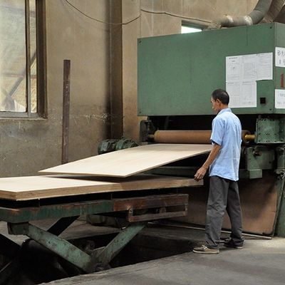 Fancy Hickory Bicolor Crown Grain Dựa MDF / Tấm ván dăm Tấm 2440x1220mm