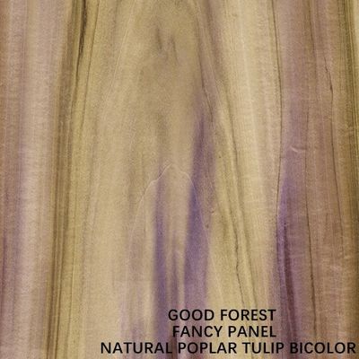 Fancy Bicolor Tulip dựa trên ván ép MDF / ván dăm / ván dăm cho bảng điều khiển nội thất