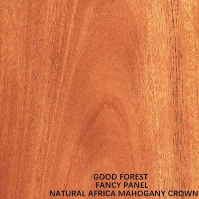 Natural Africa Mahogany Gỗ Veneer Crown Grain Kích thước tiêu chuẩn 2440 * 1220mm cho tủ cửa FSC