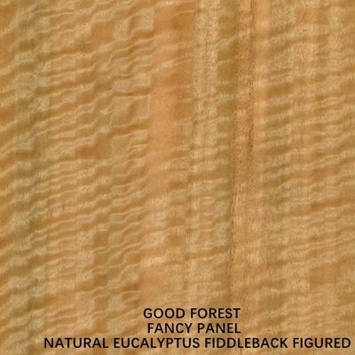 Un Normal Eucalyptus Fiddleback Hình Fancy Ván ép Ván MDF 3/5/9/12/15/18/25/30mm Độ dày