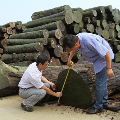 Tùy chỉnh Sản phẩm gỗ kết hợp lại Mây màu X2391 Dấu hình không đều 2500 * 640 Kích thước bình thường Để trang trí