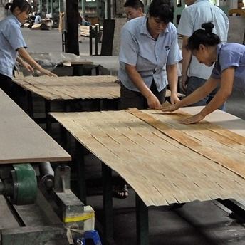 Thiết kế mới của Fancy Recomposed Smoking Eucalyptus Wood Veneer SWE-L343C / L439C 2500 * 640mm Cho Thiết kế Cửa gỗ