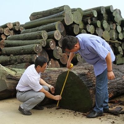 Bảng trang trí nội thất gỗ màu xám kỹ thuật lớp A