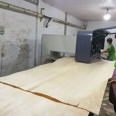 High-End Thiết kế gỗ veneer Xám LATI GL-X2423 hạt thẳng 0.55-1.8mm Cho nhà máy gỗ dán sang trọng