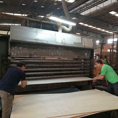 High-End Thiết kế gỗ veneer Silver Arrow SI.AW-X8023 Ba chiều hạt cho trang trí khách sạn Trung Quốc Factory