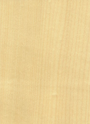 Thêm sự thanh lịch vào không gian Maple veneer Panel Flocculent Shadows Texture Manifestations