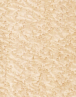 Thêm sự thanh lịch vào không gian Maple veneer Panel Flocculent Shadows Texture Manifestations