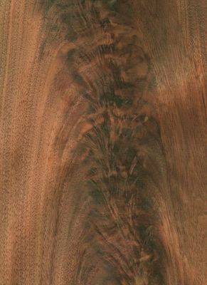 Mỹ hạt đen gỗ tự nhiên Veneer thẳng cắt cho đồ nội thất bảng sang trọng và sàn trong 0.18-0.55mm Độ dày