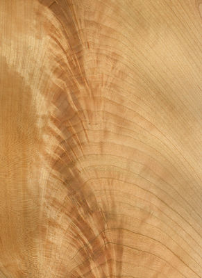 Natural American Cherry Wood Veneer Sheet Slice Flat Cut 2200-3200mm Kích thước bình thường Để trang trí đồ nội thất