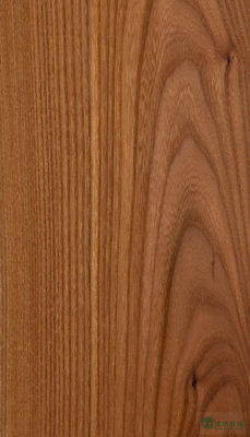 Gỗ rắn Hoa Kỳ Elm tấm lớp A cho Quarter cắt Crown hạt màu tự nhiên cho cửa mặt 3200mm lên