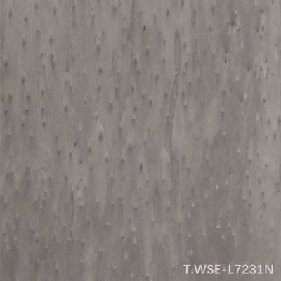 Thiết kế mới của Veneer Gỗ Kỹ thuật Tái tạo Logwood Trang trí TSP-L0231N/l7231N Dùng cho Nội thất Xe hơi Độ dày 0.5mm