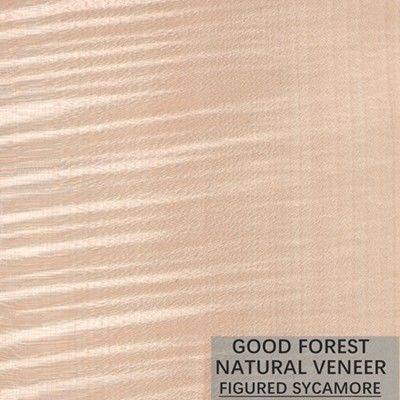 Veneer gỗ tự nhiên hình Sycamore 0,3mm - 0,5mm cho cửa nội thất