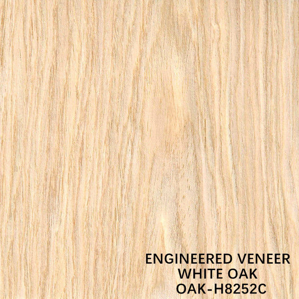Trang trí Gỗ nhân tạo Veneer White Oak Flat Cut H8252C Màu vàng nhạt