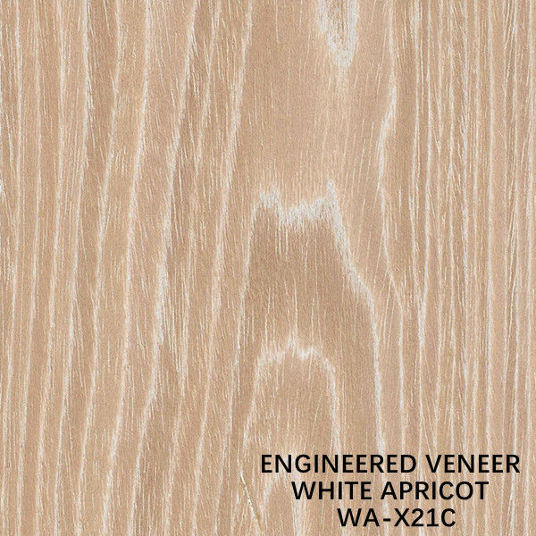 White Apricot Flat Cut X21C Veneer gỗ kỹ thuật cho mặt tủ / Da cửa ODM