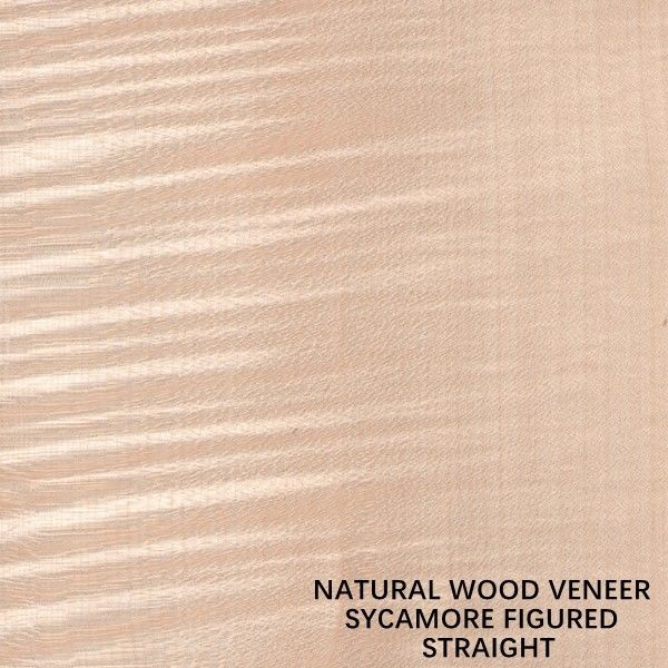 Châu Âu Gỗ tự nhiên Sycamore gỗ Veneer quý Cắt thẳng Độ dày hạt 0,5mm cho tủ và tủ