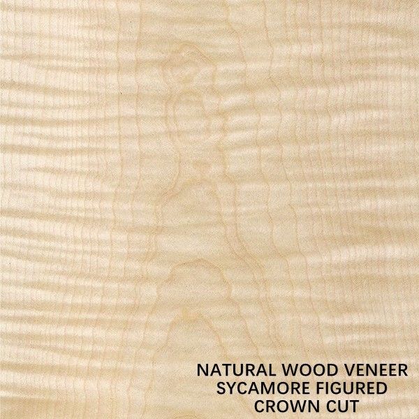Châu Âu Gỗ Sycamore Hình Tự Nhiên Gỗ Veneer Cắt Phẳng Vương Miện Cắt Độ Dày 0.5Mm Cho Chết Và Tủ