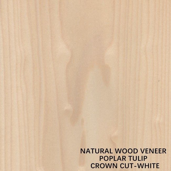 Tulip American Natural Poplar Gỗ Veneer Flat Cut Crown Trắng cho Cửa ra vào