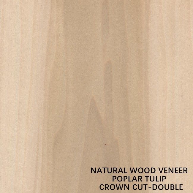 Double Color American Natural Poplar Wood Veneer Flat Cut Crown cho ván ép lạ mắt