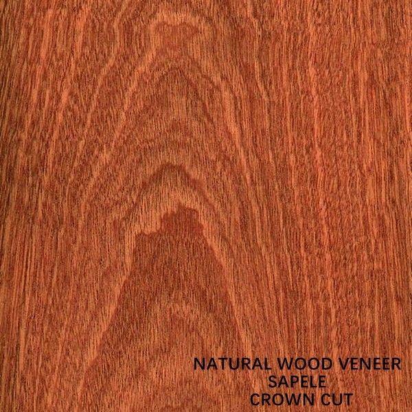Ván và Cửa Châu Phi Veneer Gỗ Sapele Tự nhiên Flat Cut Crown Grain Lớp AAA