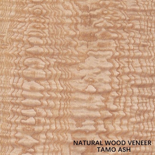 Veneer Tamo Ash tự nhiên dày 0,5mm cho nội thất ô tô và nhạc cụ