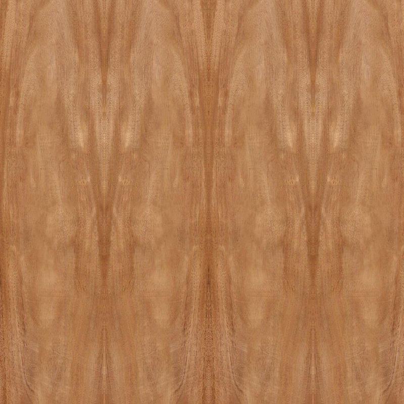 Natural Africa Mahogany Gỗ Veneer Crown Grain Kích thước tiêu chuẩn 2440 * 1220mm cho tủ cửa FSC