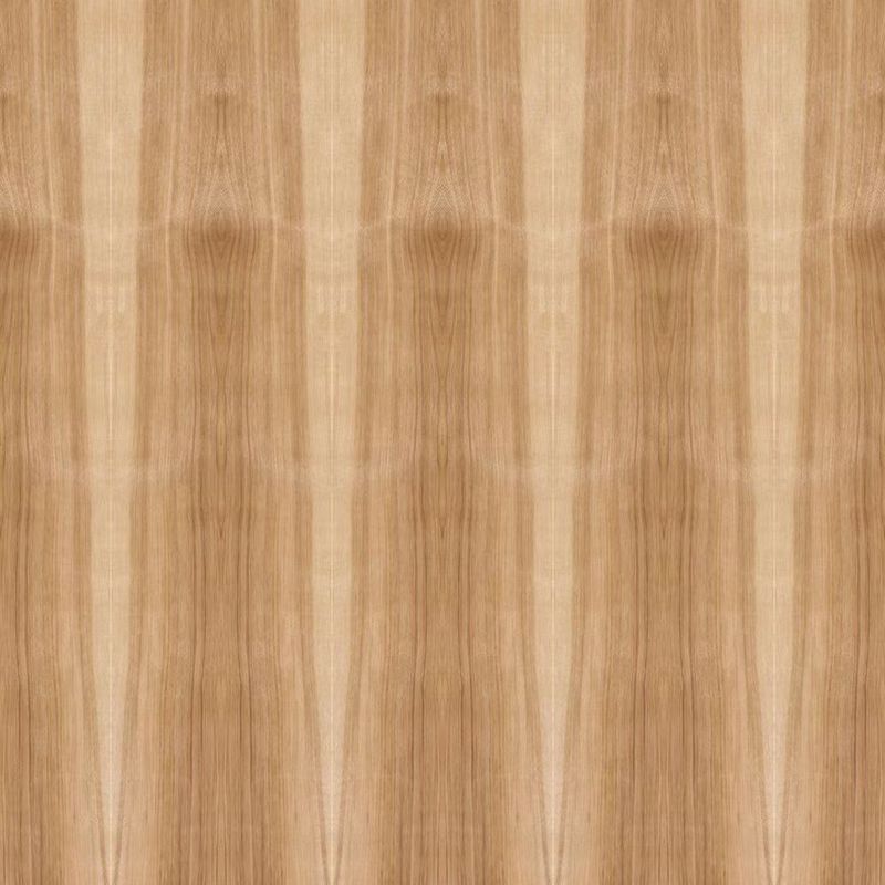 Veneer gỗ hickory tự nhiên mặt đặc biệt Bicolor Straight Grain 2440 / 2745mm