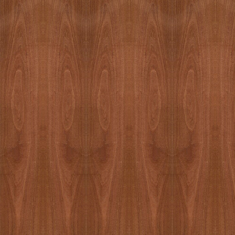 Ván ép Fancy Gỗ Sapele tự nhiên Veneer Crown Grain 5 / 9 / 12 / 15 / 18 / 25 / 30mm