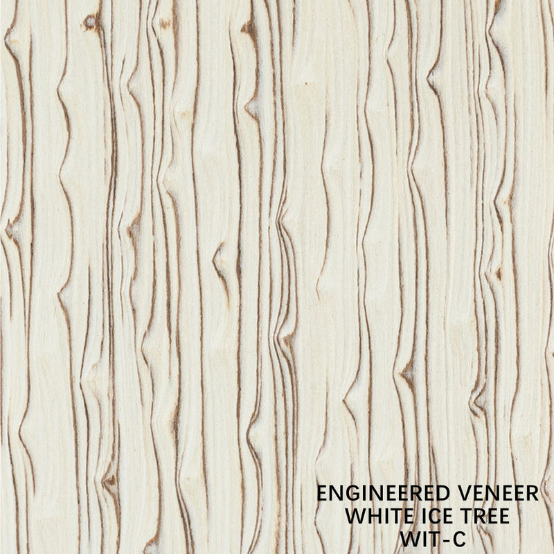 Mô phỏng gỗ Bạch cầu cây băng veneer 3100mm nội thất trang trí bảng