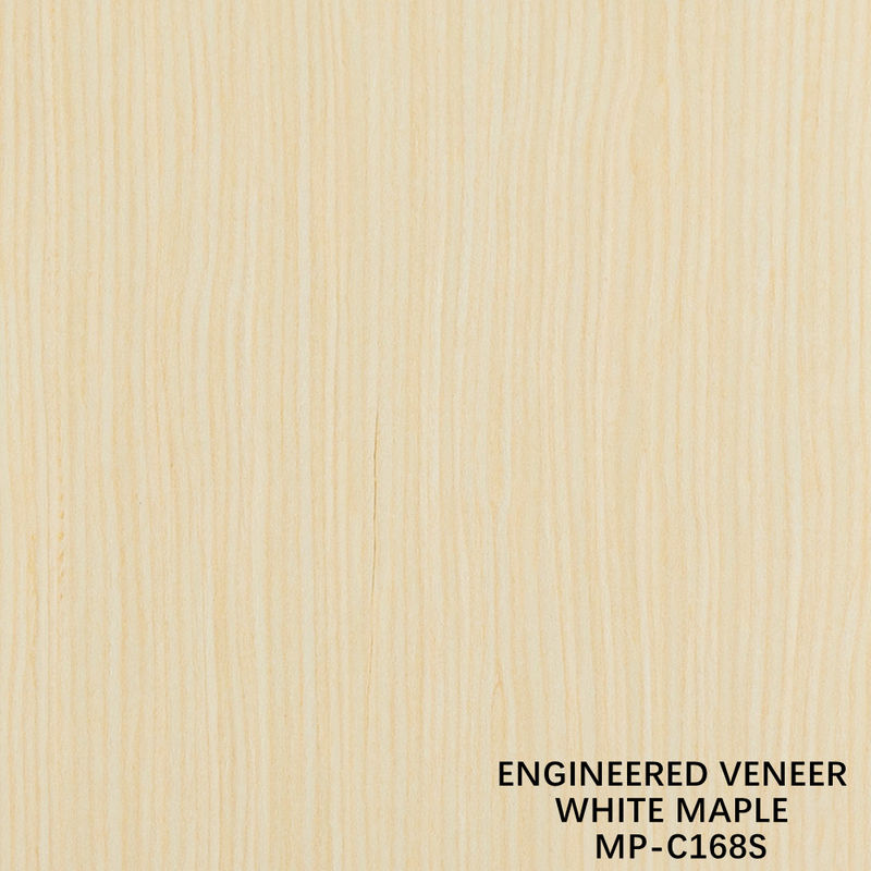 Fancy tái hợp gỗ veneer trắng Maple 168S hạt thẳng cho nội thất xe hơi