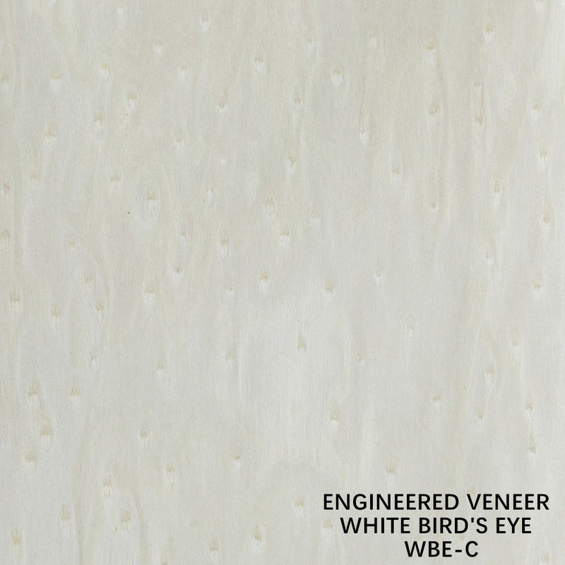 Mẫu vật bất thường gỗ veneer Burl And Root White Bird Eye 2500-3100 mm trong nhà