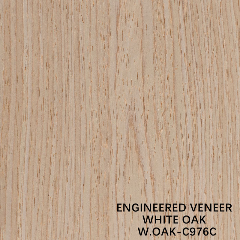 Tái tạo đồ trang trí gỗ kỹ thuật veneer White Oak 976C Crown hạt 0.15-0.55mm