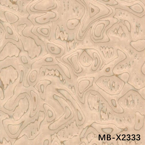 Fancy Wood Veneer Of Maple Burl 2500-3100mm MB-X2333 Kích thước kéo dài cho điêu khắc gỗ và thủ công