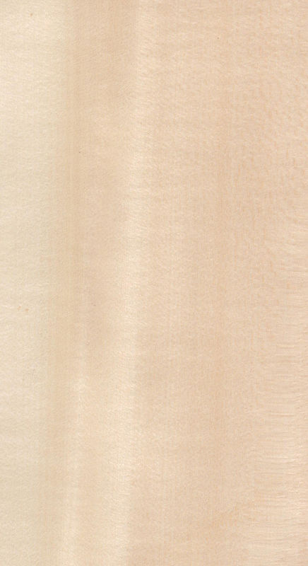 Gỗ thực Veneer Basswood slice cắt cho kích thước 13cm lên cắt phẳng thẳng cho tủ mặt lá