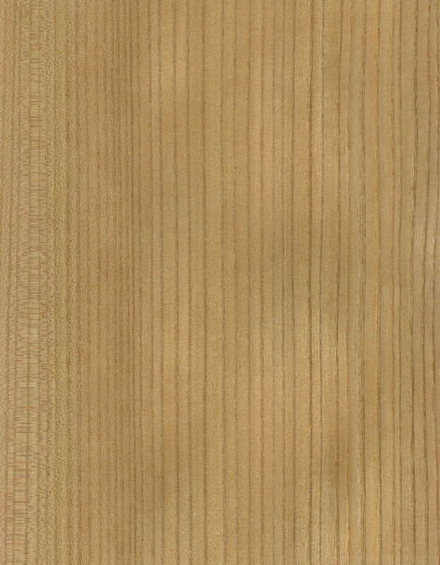 Gỗ rắn Hoa Kỳ Elm tấm lớp A cho Quarter cắt Crown hạt màu tự nhiên cho cửa mặt 3200mm lên