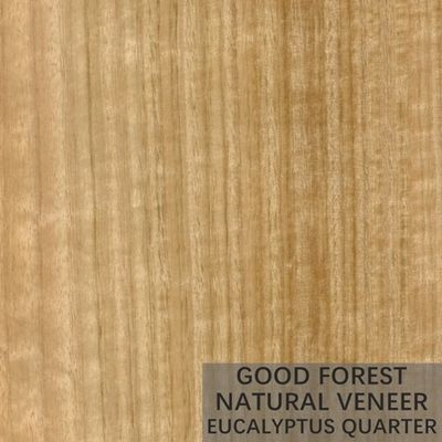 Ván ép gỗ bạch đàn tự nhiên Ván ép veneer dọc phổ biến